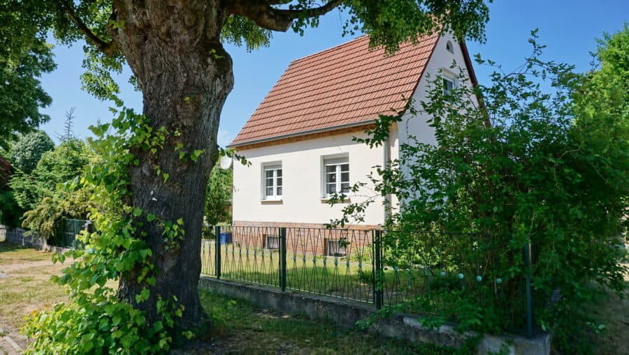 Einfamilienhaus mit Garten – Symbol für die Debatte, ob das Eigenheim für die Pflegekosten verkauft werden muss